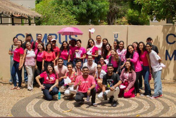 O câncer feminino: vivência e atuação profissional: Representações