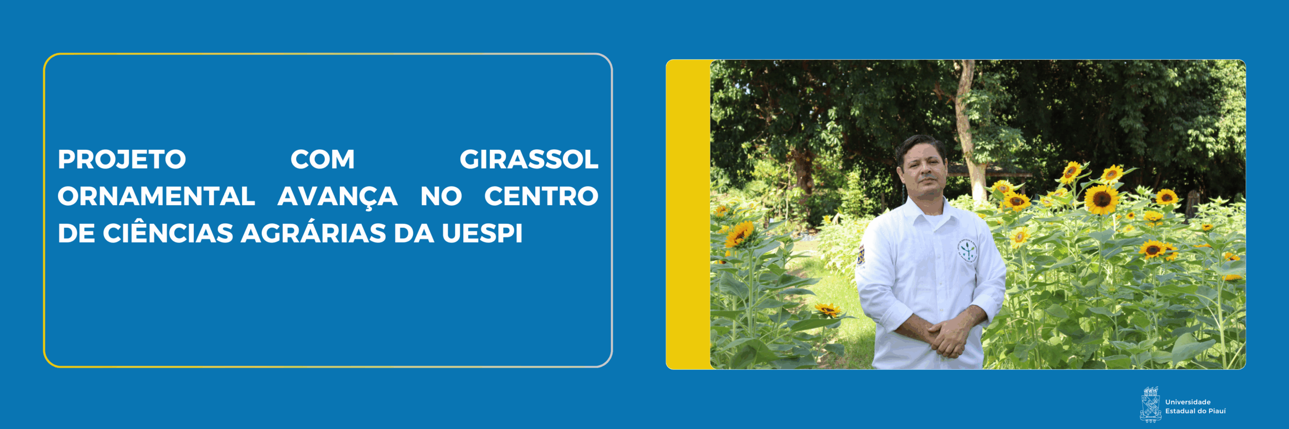 uespi,universidade,piauí